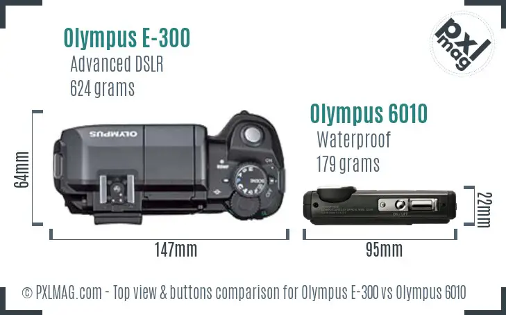 Olympus E-300 vs Olympus 6010 top view buttons comparison