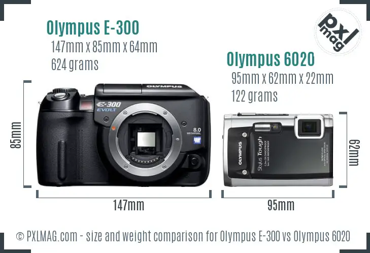 Olympus E-300 vs Olympus 6020 size comparison
