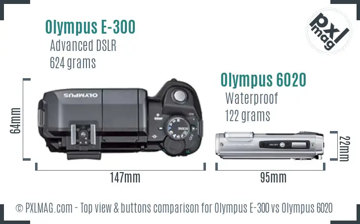 Olympus E-300 vs Olympus 6020 top view buttons comparison