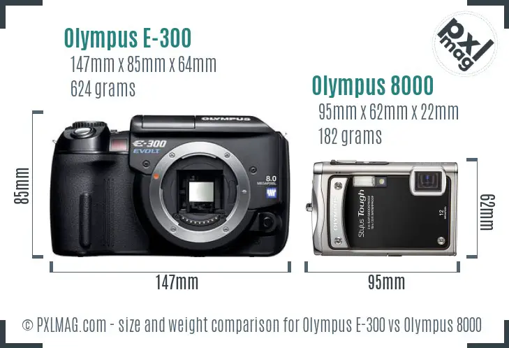 Olympus E-300 vs Olympus 8000 size comparison