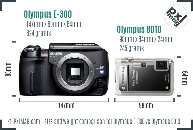Olympus E-300 vs Olympus 8010 size comparison