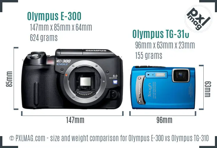 Olympus E-300 vs Olympus TG-310 size comparison
