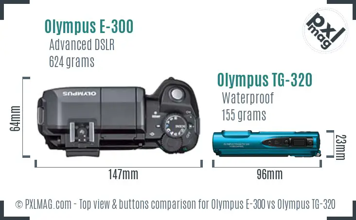 Olympus E-300 vs Olympus TG-320 top view buttons comparison