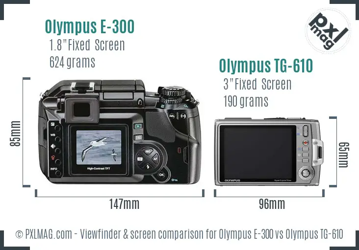 Olympus E-300 vs Olympus TG-610 Screen and Viewfinder comparison
