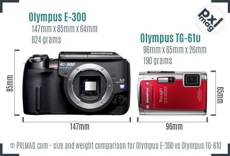 Olympus E-300 vs Olympus TG-610 size comparison
