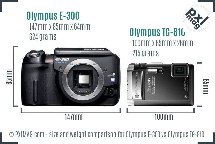 Olympus E-300 vs Olympus TG-810 size comparison