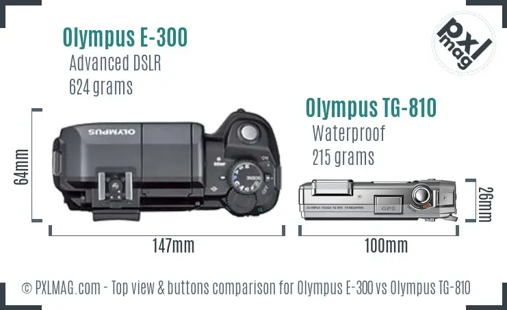 Olympus E-300 vs Olympus TG-810 top view buttons comparison