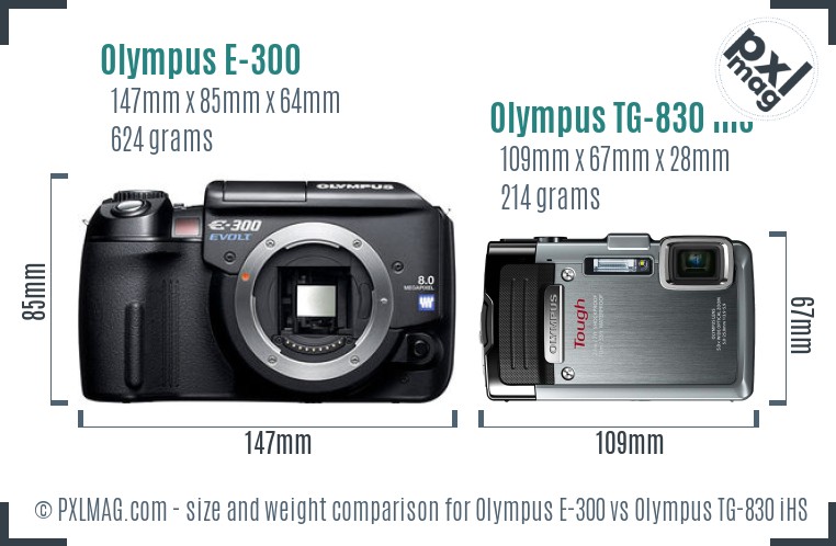 Olympus E-300 vs Olympus TG-830 iHS size comparison