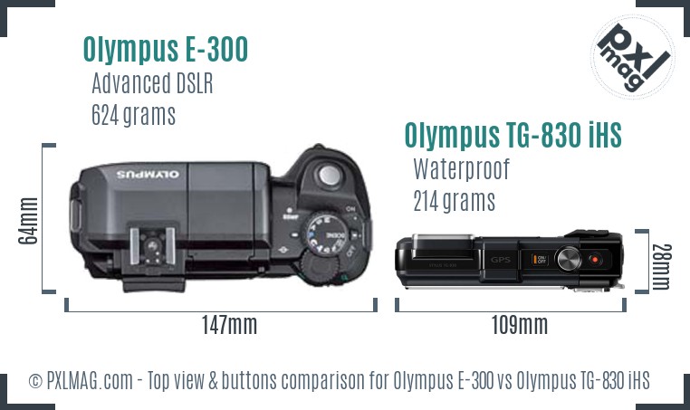 Olympus E-300 vs Olympus TG-830 iHS top view buttons comparison