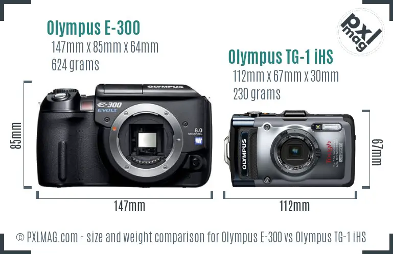 Olympus E-300 vs Olympus TG-1 iHS size comparison