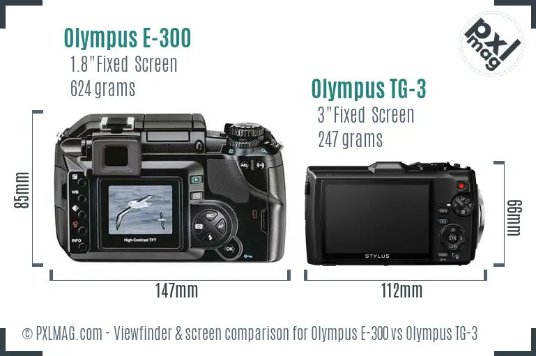 Olympus E-300 vs Olympus TG-3 Screen and Viewfinder comparison