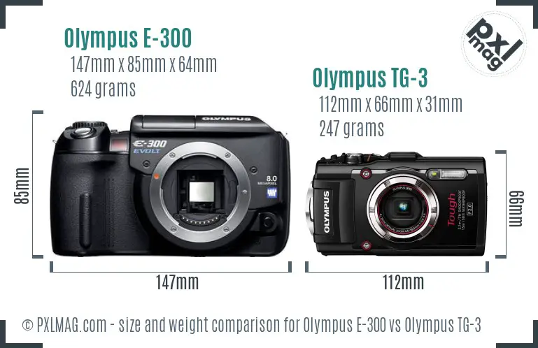 Olympus E-300 vs Olympus TG-3 size comparison