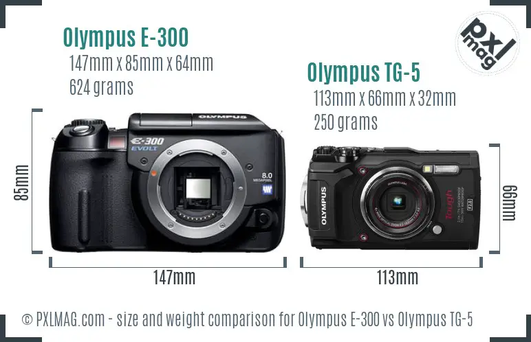 Olympus E-300 vs Olympus TG-5 size comparison