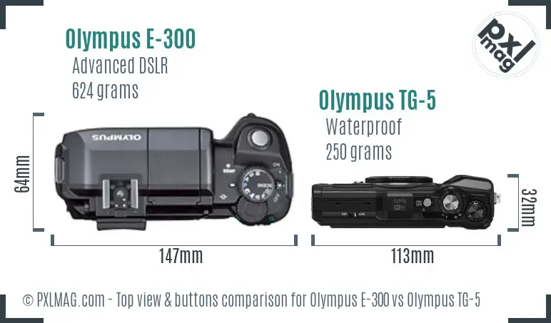 Olympus E-300 vs Olympus TG-5 top view buttons comparison