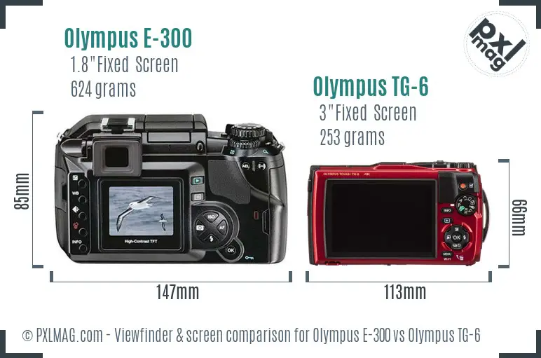 Olympus E-300 vs Olympus TG-6 Screen and Viewfinder comparison