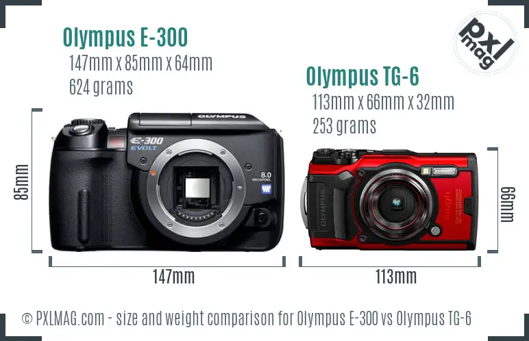 Olympus E-300 vs Olympus TG-6 size comparison