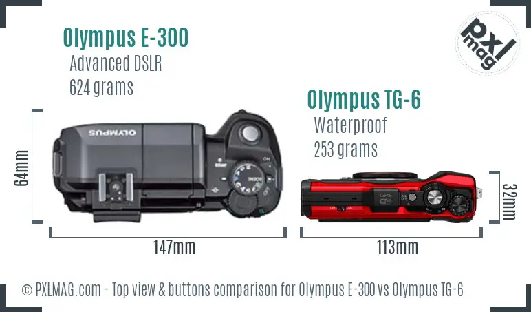 Olympus E-300 vs Olympus TG-6 top view buttons comparison
