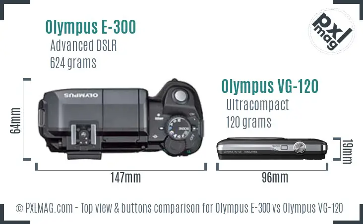 Olympus E-300 vs Olympus VG-120 top view buttons comparison
