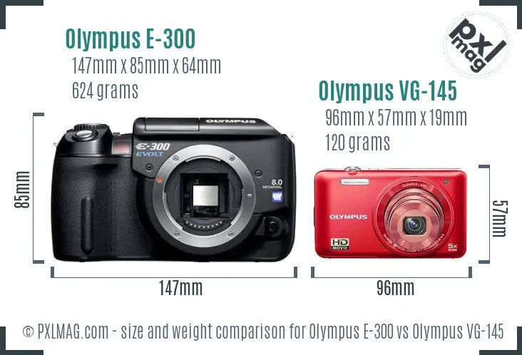 Olympus E-300 vs Olympus VG-145 size comparison