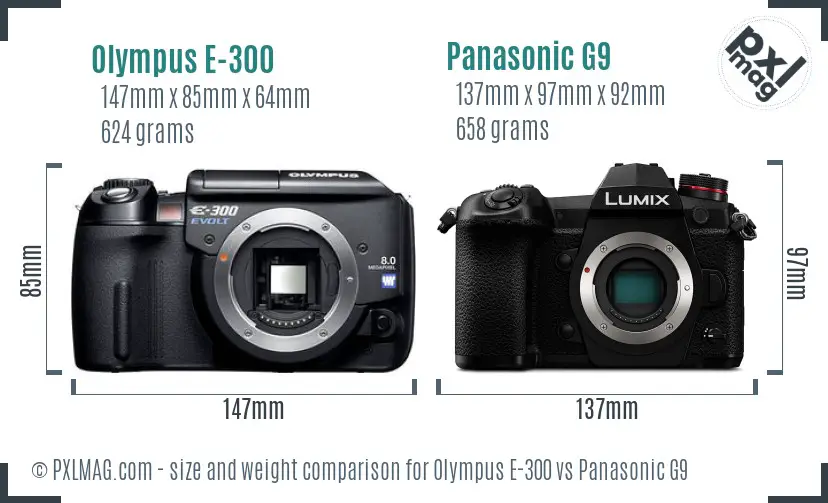 Olympus E-300 vs Panasonic G9 size comparison