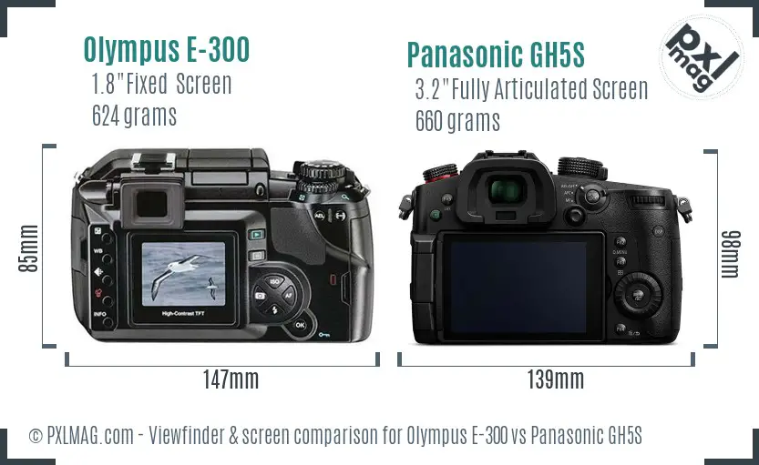 Olympus E-300 vs Panasonic GH5S Screen and Viewfinder comparison
