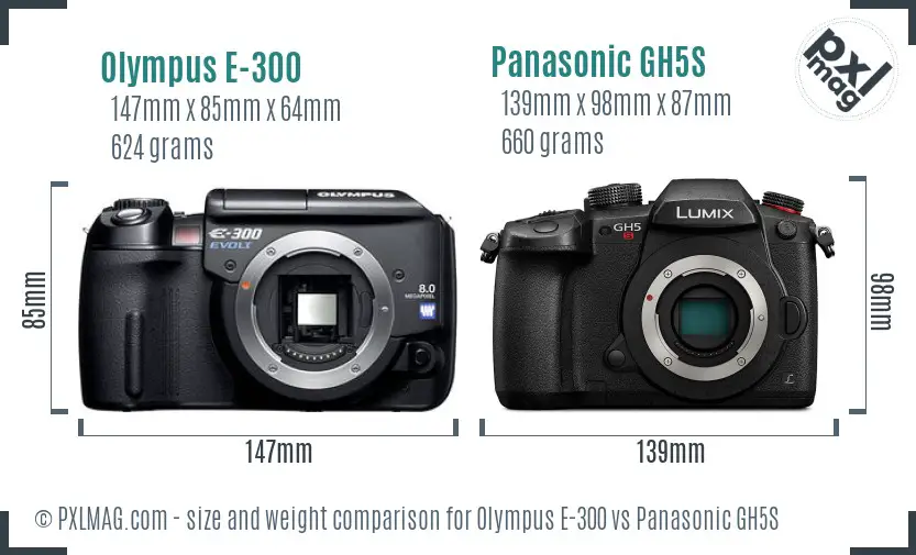 Olympus E-300 vs Panasonic GH5S size comparison