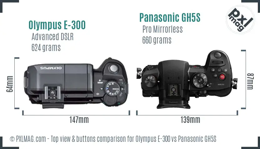 Olympus E-300 vs Panasonic GH5S top view buttons comparison