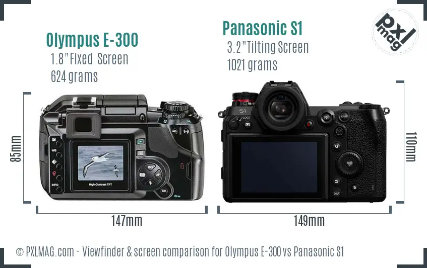 Olympus E-300 vs Panasonic S1 Screen and Viewfinder comparison