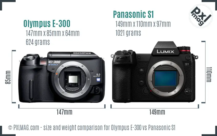 Olympus E-300 vs Panasonic S1 size comparison
