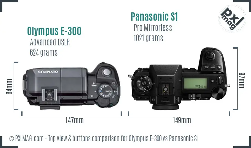 Olympus E-300 vs Panasonic S1 top view buttons comparison