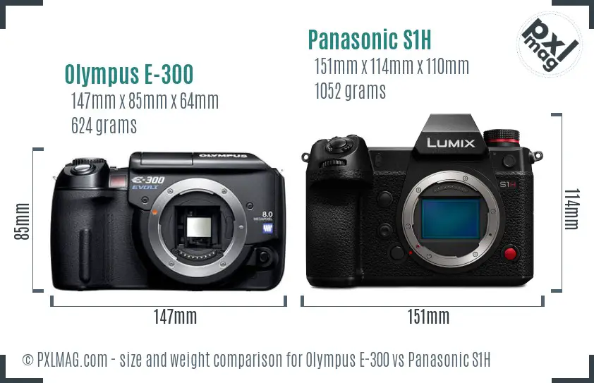 Olympus E-300 vs Panasonic S1H size comparison