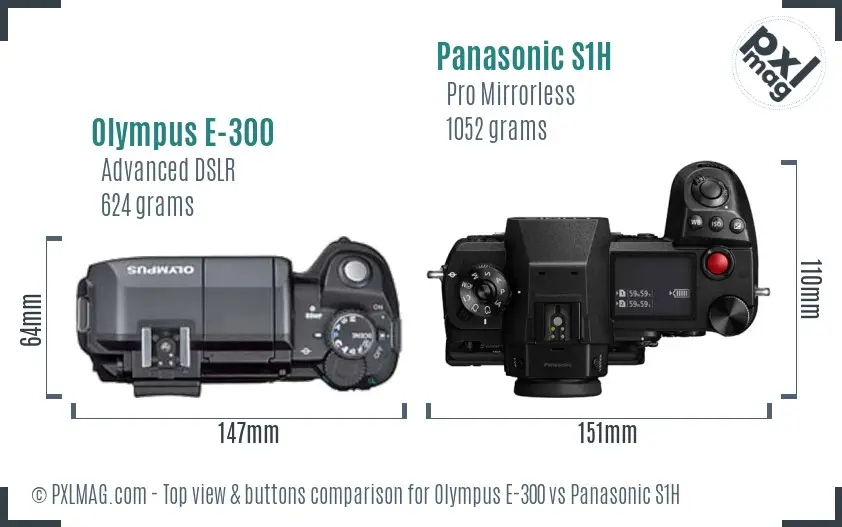 Olympus E-300 vs Panasonic S1H top view buttons comparison