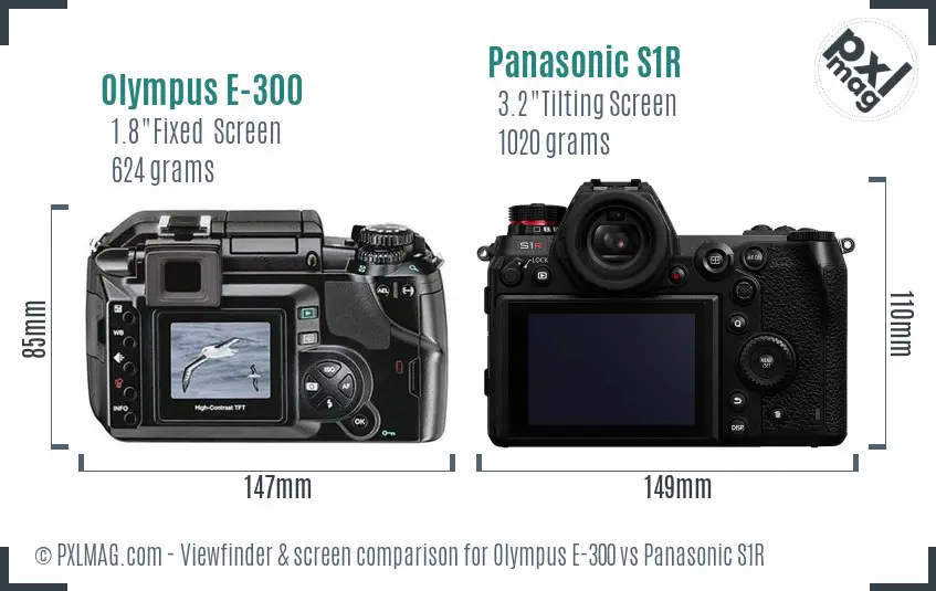 Olympus E-300 vs Panasonic S1R Screen and Viewfinder comparison