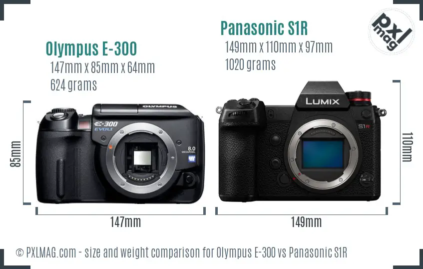 Olympus E-300 vs Panasonic S1R size comparison