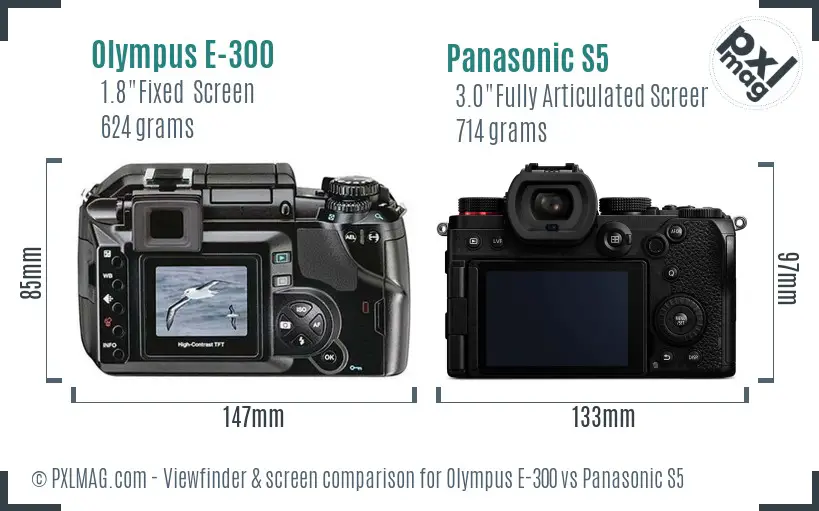 Olympus E-300 vs Panasonic S5 Screen and Viewfinder comparison