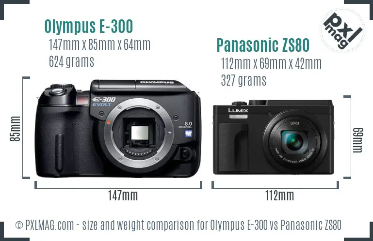 Olympus E-300 vs Panasonic ZS80 size comparison