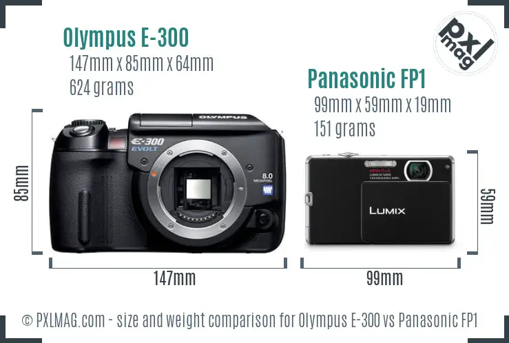 Olympus E-300 vs Panasonic FP1 size comparison