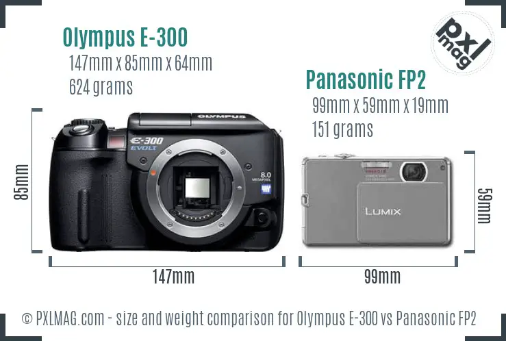Olympus E-300 vs Panasonic FP2 size comparison