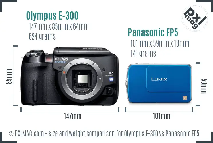 Olympus E-300 vs Panasonic FP5 size comparison