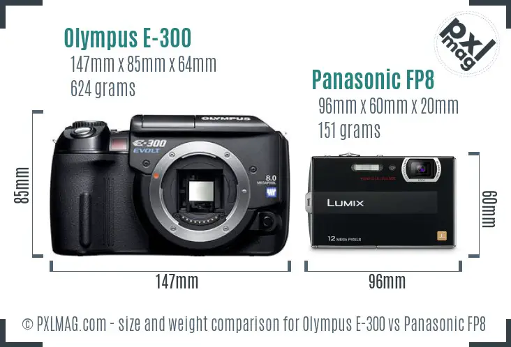 Olympus E-300 vs Panasonic FP8 size comparison