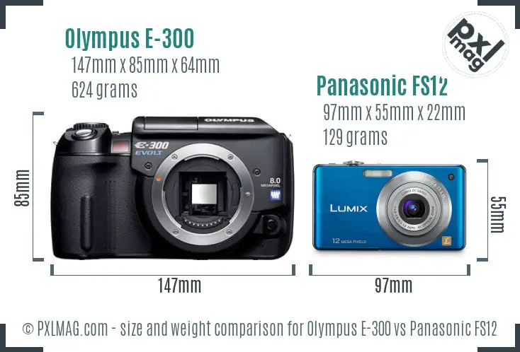 Olympus E-300 vs Panasonic FS12 size comparison