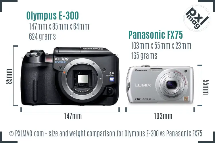 Olympus E-300 vs Panasonic FX75 size comparison