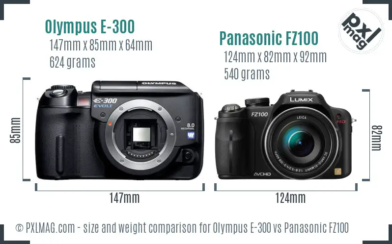 Olympus E-300 vs Panasonic FZ100 size comparison