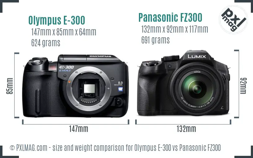 Olympus E-300 vs Panasonic FZ300 size comparison