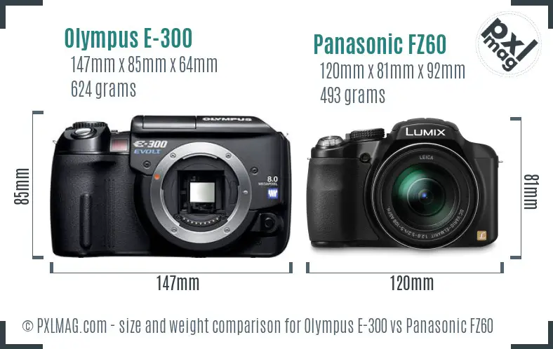 Olympus E-300 vs Panasonic FZ60 size comparison