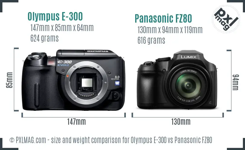 Olympus E-300 vs Panasonic FZ80 size comparison
