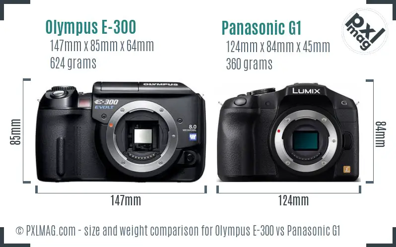 Olympus E-300 vs Panasonic G1 size comparison