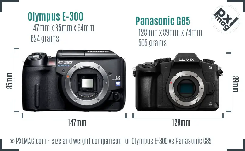 Olympus E-300 vs Panasonic G85 size comparison