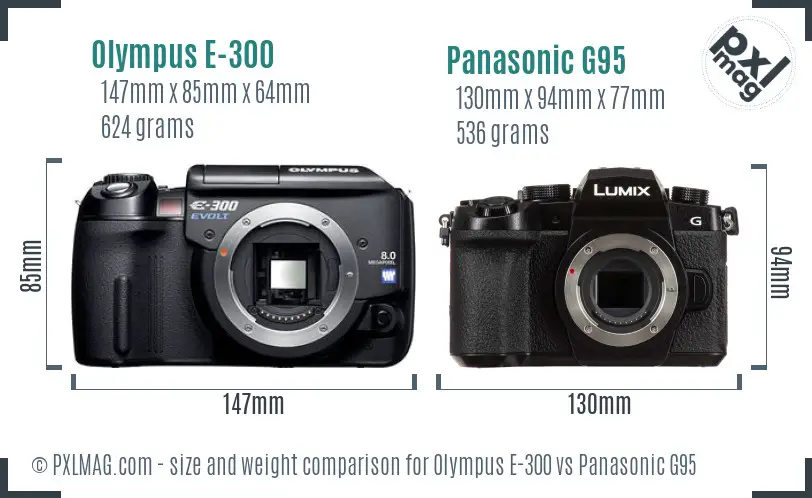 Olympus E-300 vs Panasonic G95 size comparison