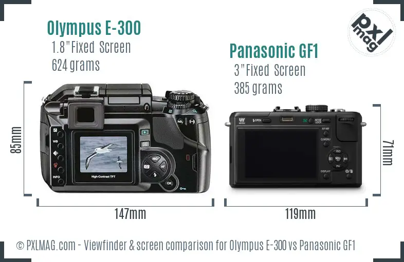 Olympus E-300 vs Panasonic GF1 Screen and Viewfinder comparison